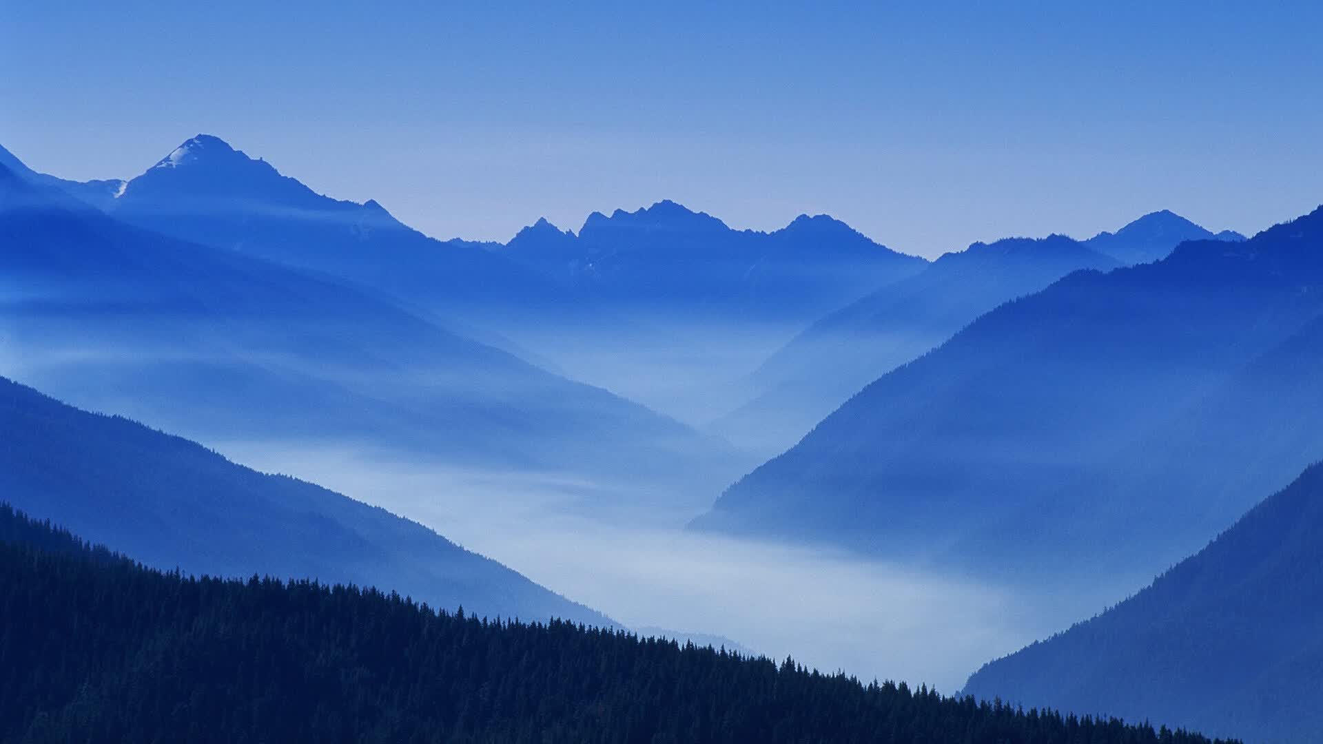 世界登山青年营救援演练月总结：能力提升成果显著，登山竞赛活动